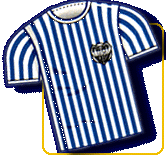 camiseta2.gif (16513 bytes)