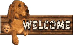 Dog Welcome Sign