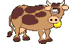 bull