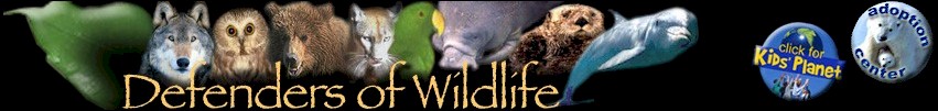 Defenders of Wildlife