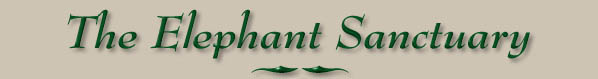 The Elephant Sanctuary