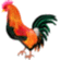 rooster