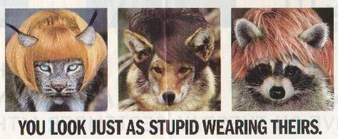 wig-wearing animals