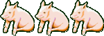 3 pigs