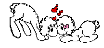 lambs