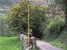 l'ingresso al paese