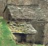 caniccio (metato)