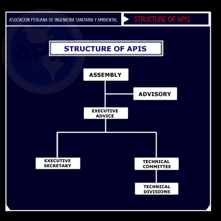 Structure of APIS