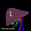Liver