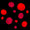 Erythrocytes