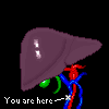 Liver