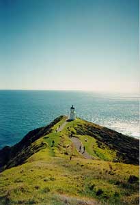 cape_reinga.jpg (12987 bytes)
