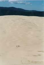 dunes3.jpg (5349 bytes)