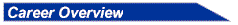 bt-career-overview.gif (1756 bytes)