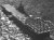 usa1.jpg (1013 bytes)