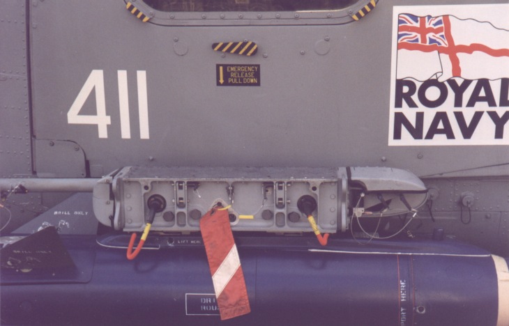EGLynx04.jpg
