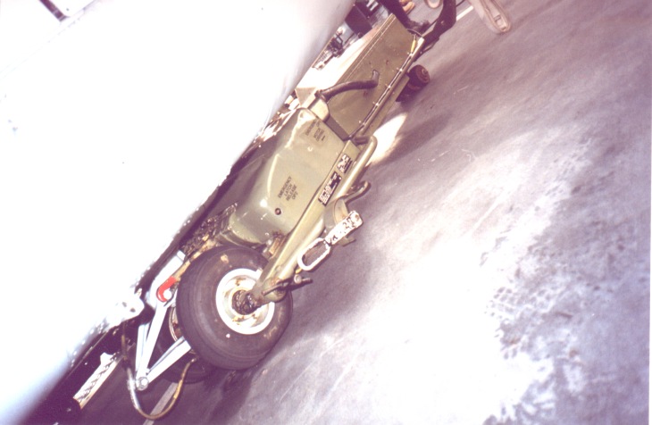 ENLynx04.jpg