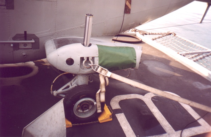 ENLynx09.jpg
