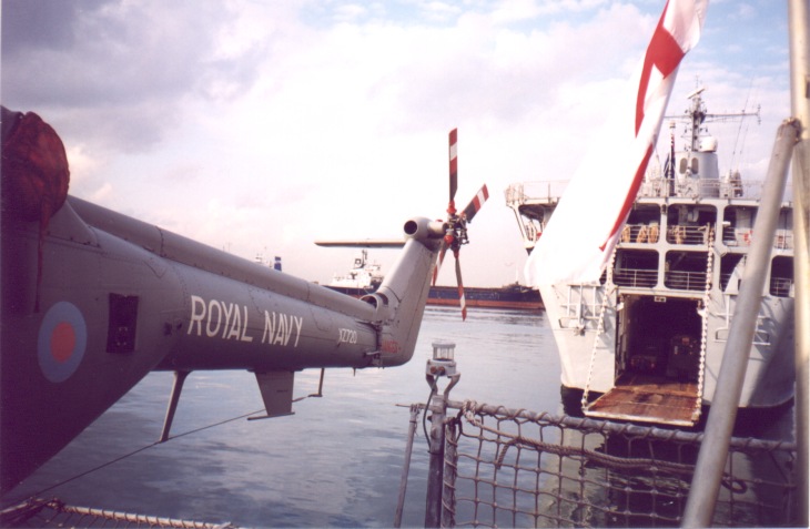 ENLynx10.jpg
