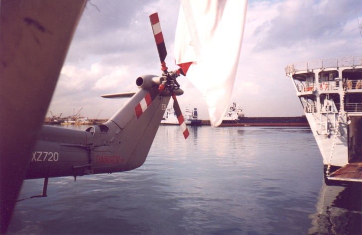ENLynx11.jpg