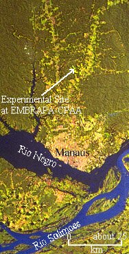 Satellite-photo of Manaus, location of experimental site