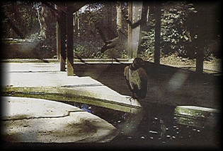 Parque Zoobot�nico