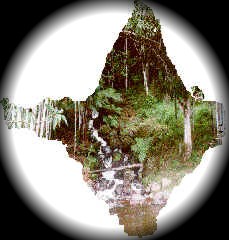 Mapa do Estado