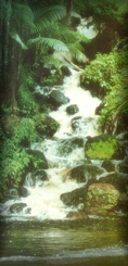 Cachoeira comum no interior do Amap�