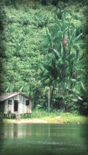 Casa Ribeirinha - Foto Paulo Uchoa