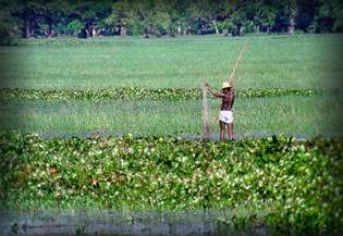 Pescador no Curia�, um belo recanto pr�ximo de Macap� - Foto DETUR-AP