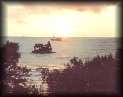 Nascer do sol �s margens do Amazonas