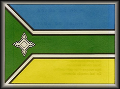 Bandeira do Estado