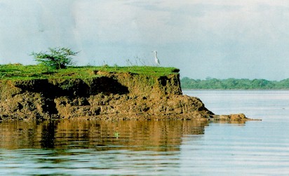 Rio da Amaz�nia - Foto: Paulo Och�a