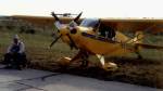 Cub Replica