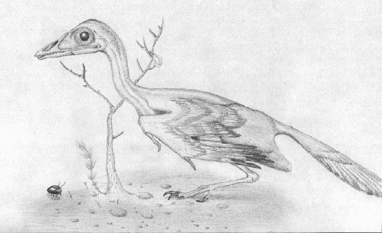 New Picture Cathayornis Yandica Added To Galleries