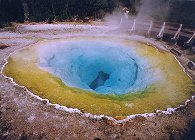 Morning Glory Pool