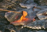 Lava scoop