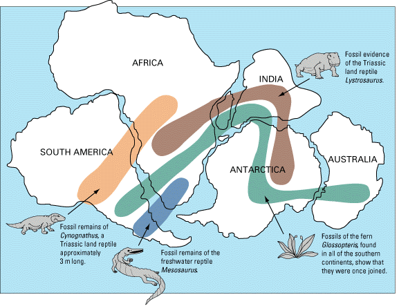 Gondwanaland