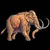 Wooly Mammoth