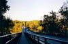 Quarter Bridge?