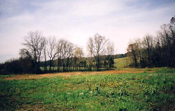 Midnight field 1