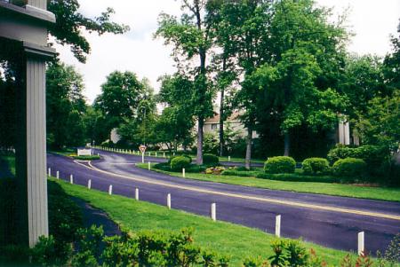 Bramblewood