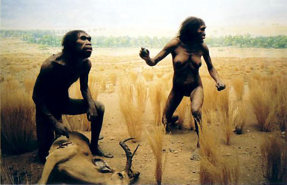 Homo?