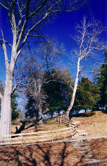 Maymont 1