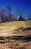 mais Maymont