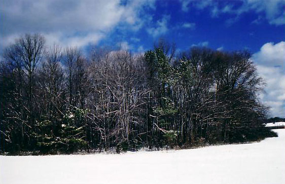 Snow field
