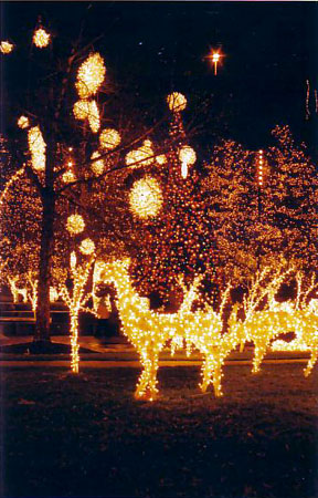 natal 2