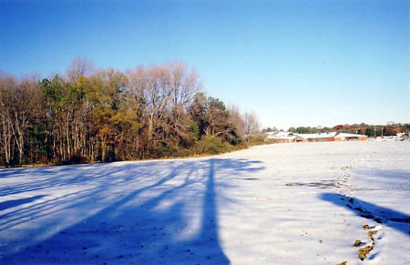 snow field