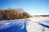 snow field