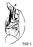 {short description of image}